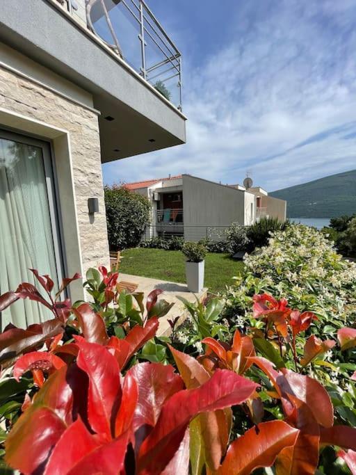 Acacia Hill Apartments Herceg Novi Buitenkant foto