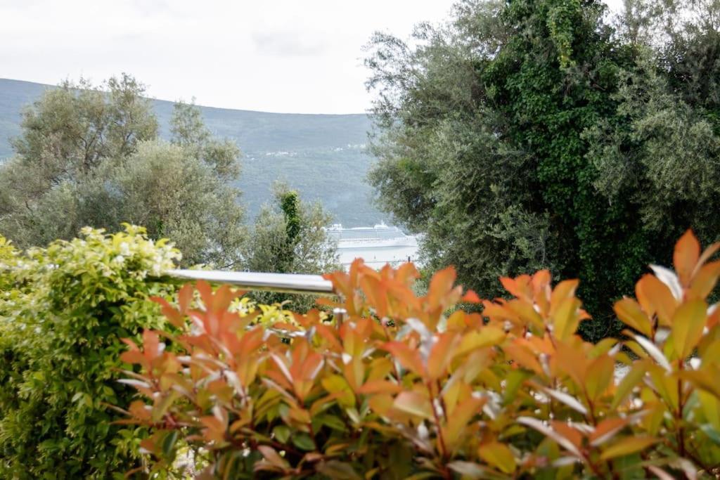 Acacia Hill Apartments Herceg Novi Buitenkant foto