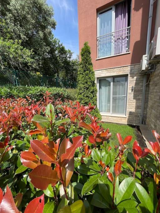 Acacia Hill Apartments Herceg Novi Buitenkant foto